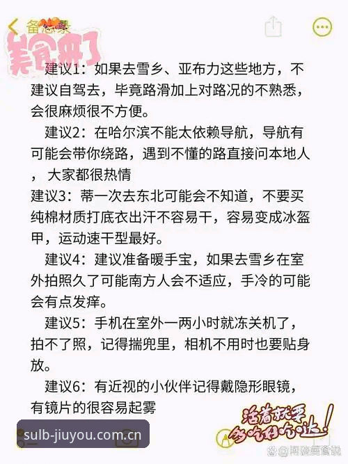 类似乐动体育的九游版本替代站 九游体育平台替代站使用详解:从乐动迁移到全新启程版本的亲历体验